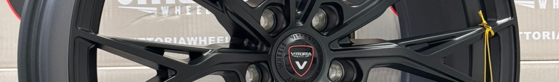 ALABAMA - Vittoria Wheels